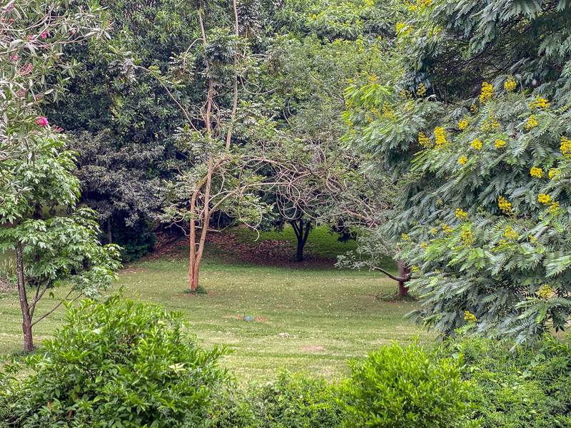 The Cummings - Living Room